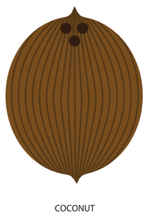 Coconut